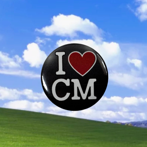 "I<3CM" pin